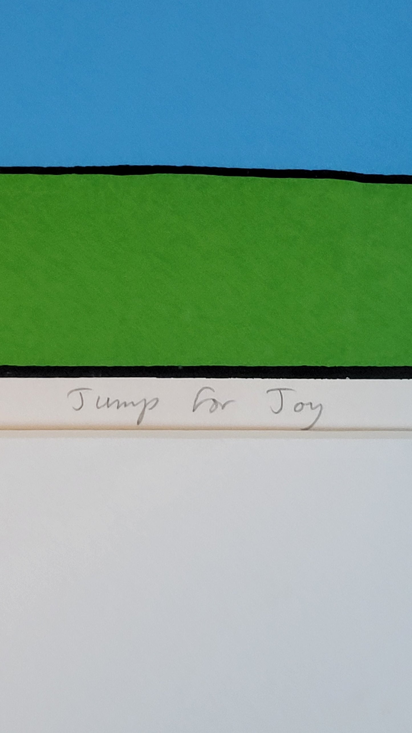 ManWoman "JUMP FOR JOY" 38/49 Limited Edition Framed Fine Art Print *Pick up in St. Albert